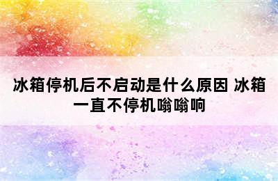 冰箱停机后不启动是什么原因 冰箱一直不停机嗡嗡响